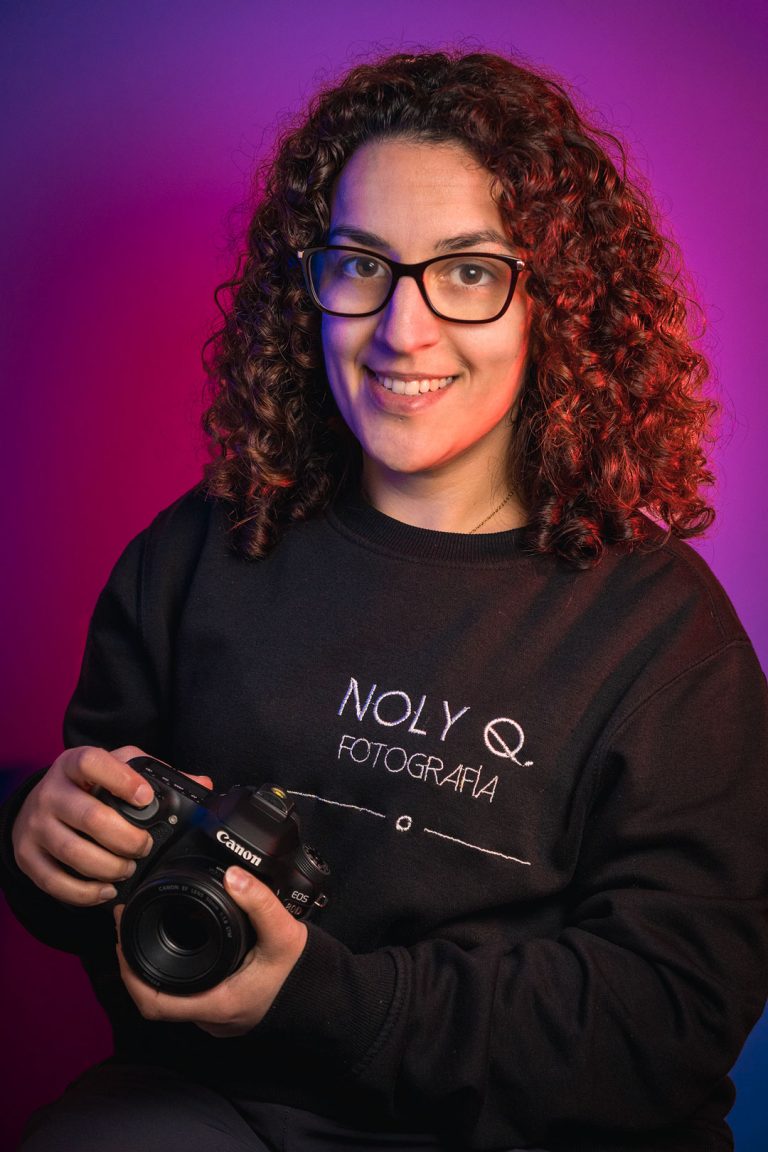 noly 2550 web